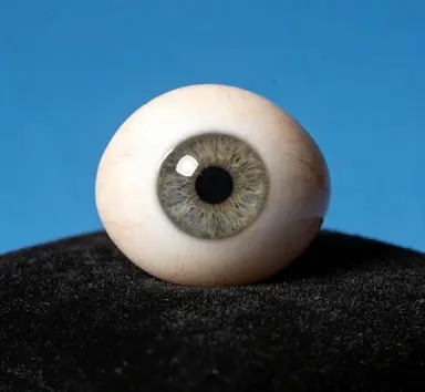 专业义眼师正在为客户进行眼部评估